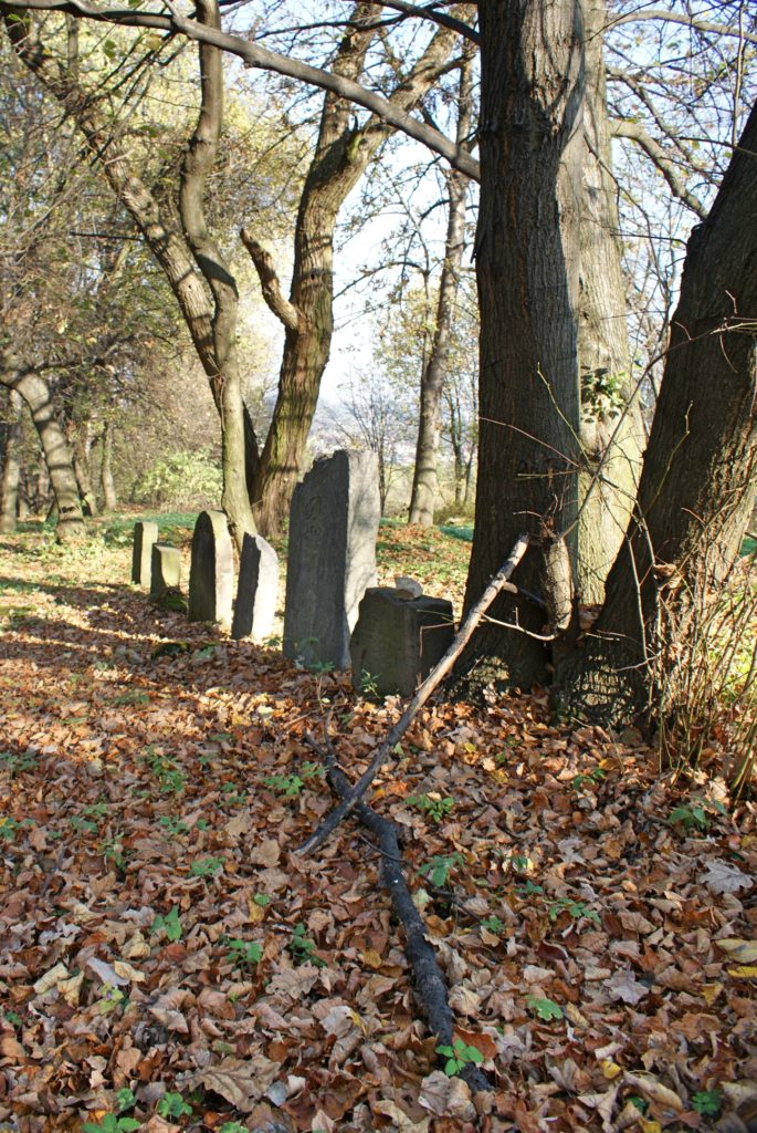 Wieliczka cmentarz żydowski, stare nagrobki