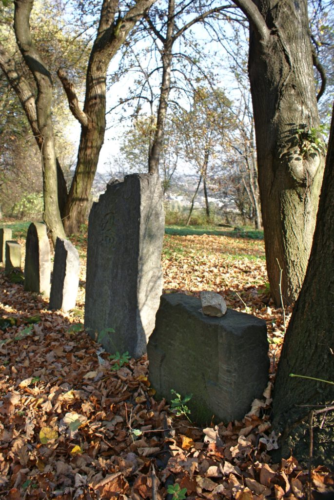 Wieliczka cmentarz żydowski, stare nagrobki