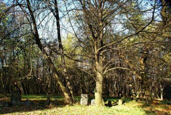 Cmentarz żydowski w Wieliczce.